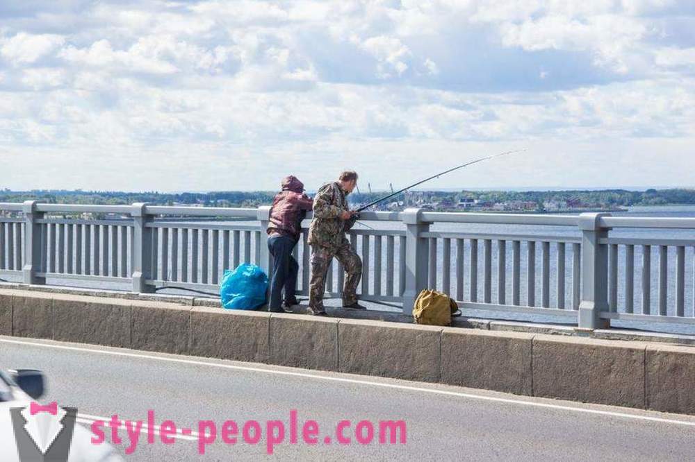 Pangingisda sa Saratov sa Volga: mga larawan at mga review