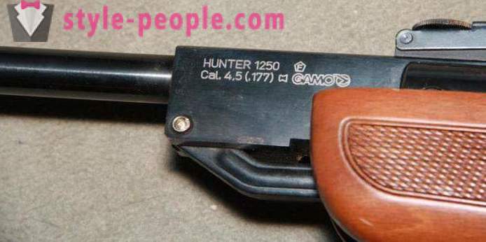 Air rifle Gamo Hunter 1250: pangkalahatang-ideya, mga tampok at mga review