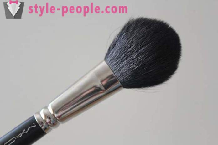 Mag-ayos para sa blush: isang pagsusuri ng kung paano pumili at kung paano pinapahalagahan? Makeup Brush Set