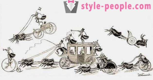 Kakaiba at hindi pangkaraniwang rides nakalipas na kinasasangkutan ng mga hayop