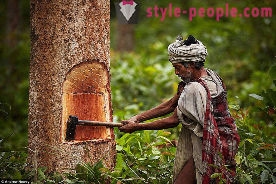 Ang huling hunter-gatherers: ang buhay ng isang primitive tribo sa Nepal