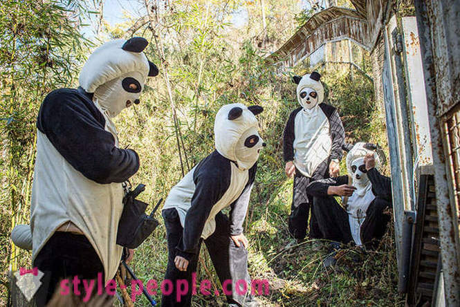 Paano upang mapalago ang giant pandas sa Sichuan