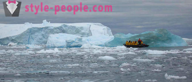 Amazing icebergs