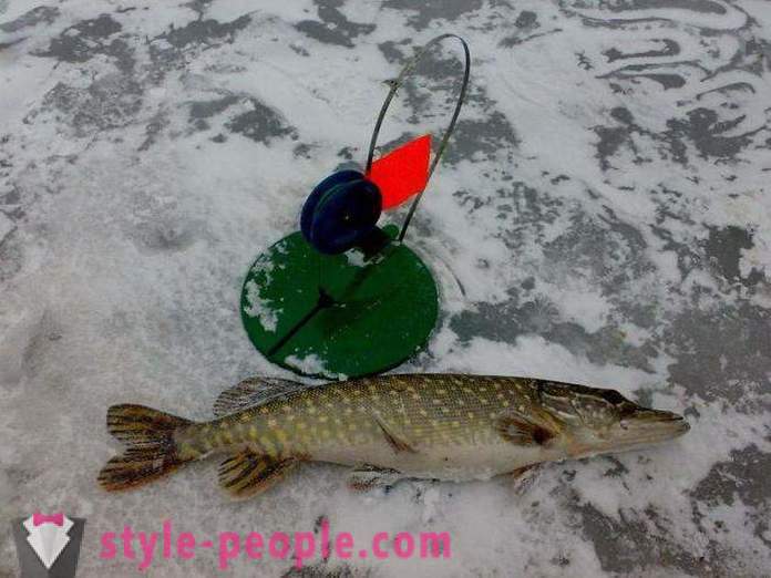 Winter fishing sa yelo muna: Tips naranasan
