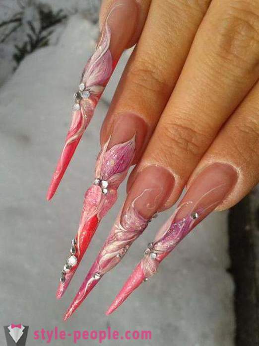 Varieties ng manicure: Nail Art. Teknolohiya, mga larawan at mga ideya