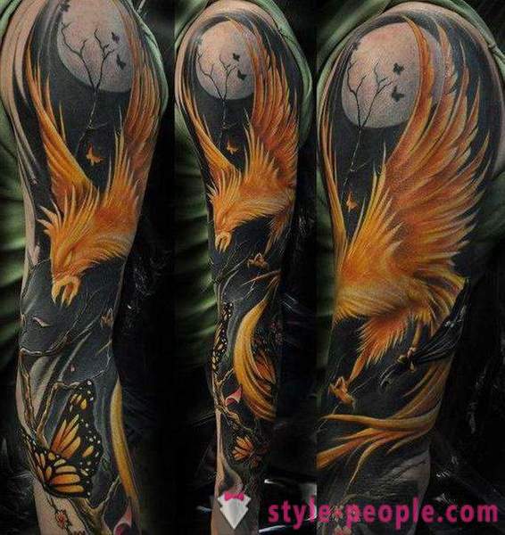 Phoenix Tattoo: sketches at mga pagpipilian
